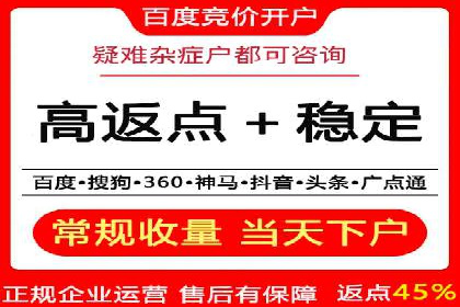 成功SEM投放案例分享